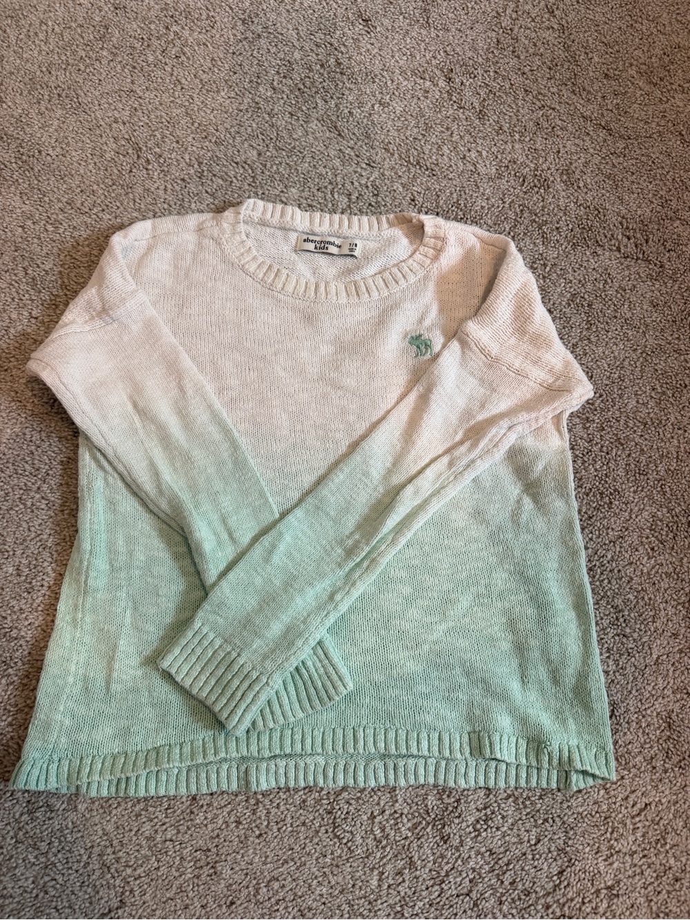 Abercrombie & Fitch Women’s Ombre Mint Crewneck Sweater